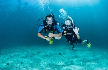 PADI Diving Courses and Dive Trip in Chang Wat Surat Thani,