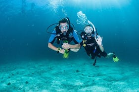 PADI Diving Courses and Dive Trip in Chang Wat Surat Thani,
