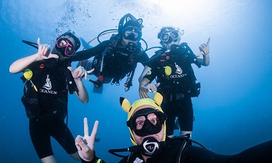 PADI Diving Courses and Dive Trip in Chang Wat Surat Thani,