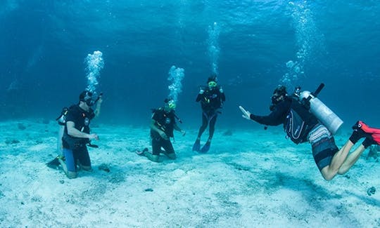 PADI Diving Courses and Dive Trip in Chang Wat Surat Thani,