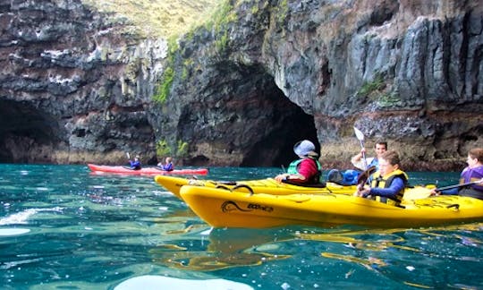 Sea Kayaking Tour in Akaroa, New Zealand