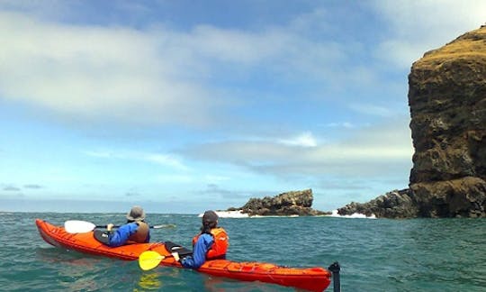 Sea Kayaking Tour in Akaroa, New Zealand