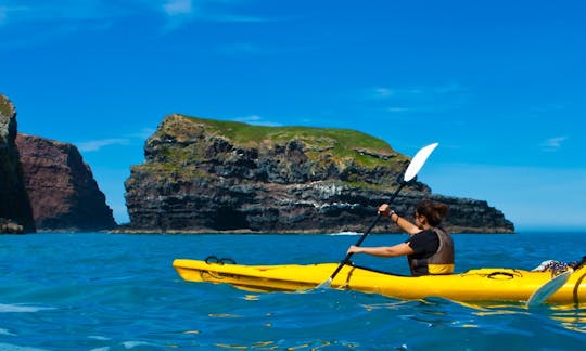 Sea Kayaking Tour in Akaroa, New Zealand