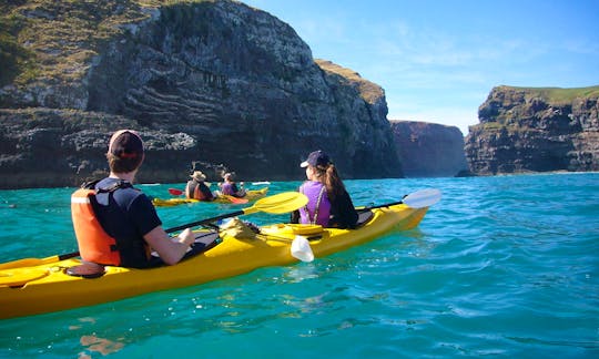 Sea Kayaking Tour in Akaroa, New Zealand