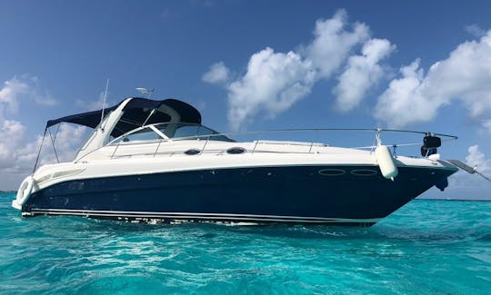 Fantastic Sea Ray 35  Cancun,  FREE JETSKI on 6hrs