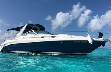Fantastic Sea Ray 35 Motor Yacht to Enjoy Cancun, minimum 5 hours rental ;)   FREE JETSKI seadoo