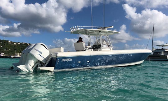 37ft Intrepid Power Boat for 12 people in St. Thomas