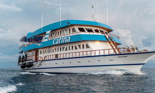 Carina Maldives Liveaboard