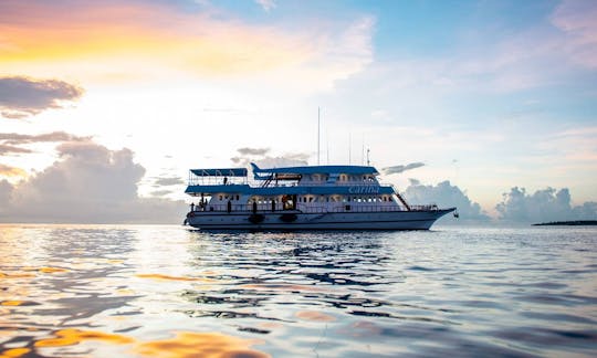 Carina Maldives Sunset View