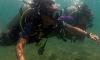 Descubra o mergulho e o mergulho divertido na Ilha do Ticao