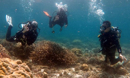 Discover Scuba Diving and Fun Diving in Ticao Island