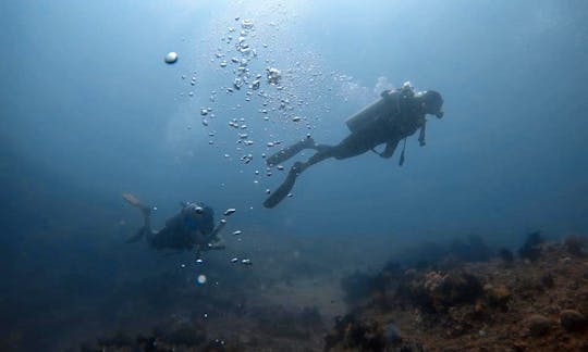 Discover Scuba Diving and Fun Diving in Ticao Island