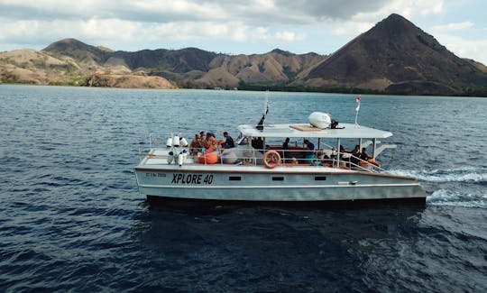 catamaran cruising