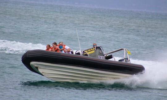 Charter a 10 Person Rigid Inflatable Boat in Mossel Bay, South Africa