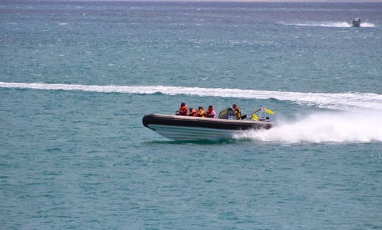 Charter a Rigid Inflatable Boat in Mossel Bay, South Africa