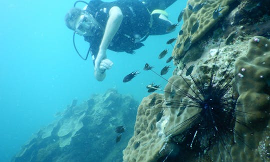 Viagem de mergulho na cidade de Phu Quoc, província de Kampot