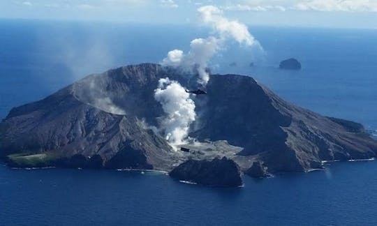 3時間のタウランガ・コーストライン・ツアーまたはフィヨルドランド・ツアー（4名様）