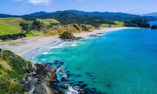 3-Hours Tauranga Coastline Tour or  Fiordland Tour for 4 People