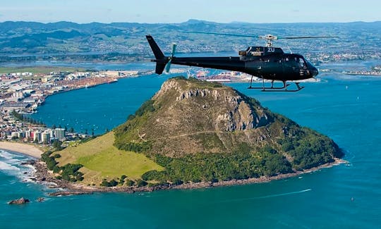 3-Hours Tauranga Coastline Tour or  Fiordland Tour for 4 People