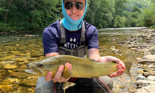 Julian Alps Marble trout fishing