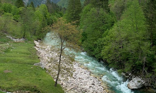 Julian Alps Fly Fishing