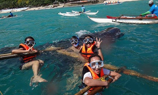 Mergulhe com o tubarão-baleia em Oslob, Cebu