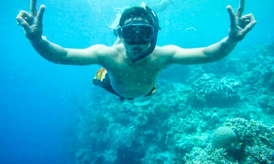 Scuba Diving Trip in Menjangan Island and PADI Courses in Gerokgak, Bali