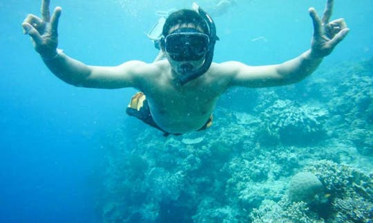 Scuba Diving Trip in Menjangan Island and PADI Courses in Gerokgak, Bali