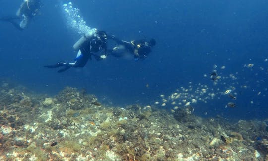 Descubra el buceo en la ciudad de Lapu-Lapu, Cebú