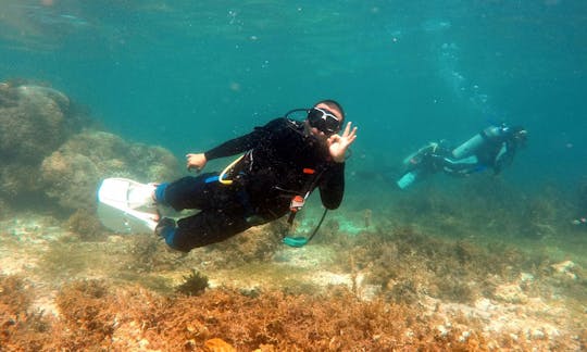 Descubra o mergulho na cidade de Lapu-Lapu, Cebu