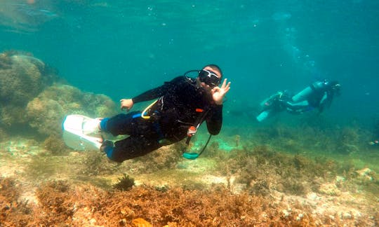 Discover Scuba Diving in Lapu-Lapu City, Cebu