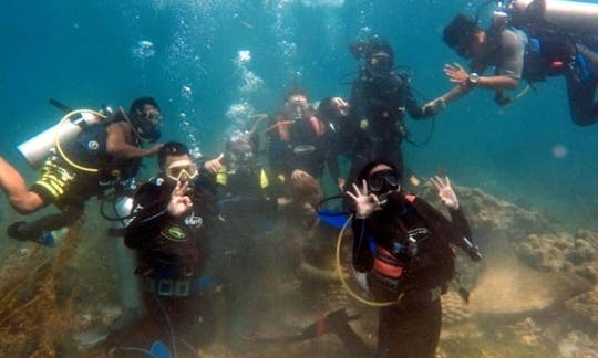 Descubra o mergulho na cidade de Lapu-Lapu, Cebu