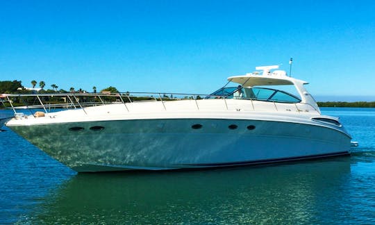 54ft Sea Ray Motor Yacht for 13 People - Luxury and Affordable