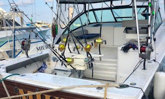 Fishing Charter On 33ft "Manta" Sport Fisherman Yacht In Manta, Ecuador