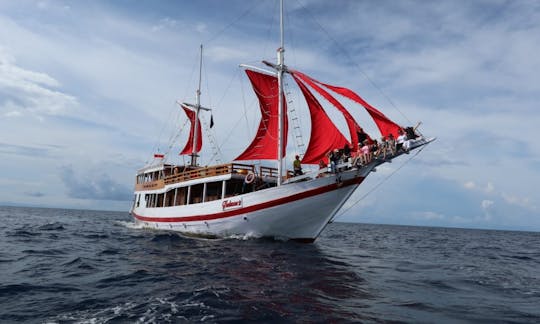 2 Days / 1 Night to 4 Days / 3 Nights LIVE ON BOARD Trip with Thalassa Pinisi 2