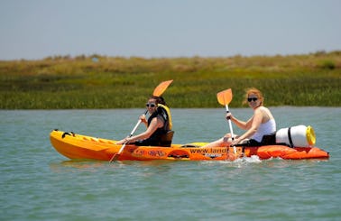2-Hour Guided Kayak Tour in the Algarve's Ria Formosa from Faro