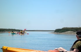 Rent a kayak to explore the Algarve's Ria Formosa from Faro