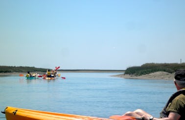 Rent a kayak to explore the Algarve's Ria Formosa from Faro