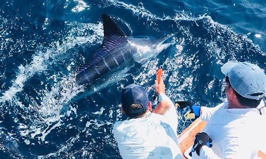 Fishing Charter with local people- Muscat, Oman