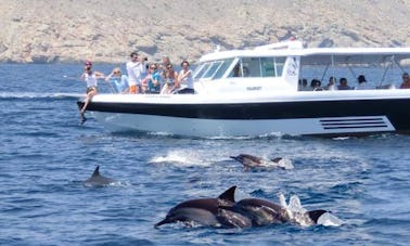 Passeios de observação de golfinhos - Muscat, Omã.