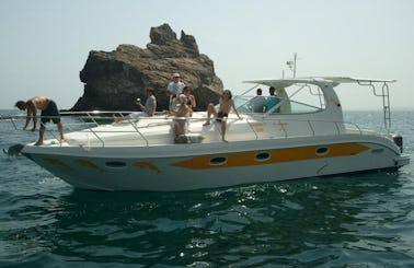 Sidab Super Special Trip on 12 Seater boat.