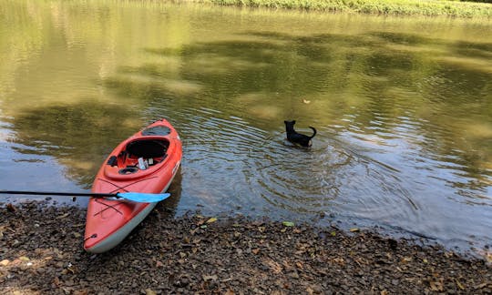 10' Kayak Rental in Murfreesboro, Tennessee