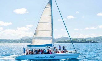 Catamaran Day Tour to Soufriere (Cruise Passengers)