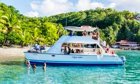 4-Hours Private Snorkeling Tour