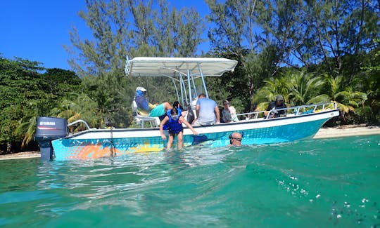 Snorkel de arrecife con 3 paradas en barco en la bahía de Jonesville, Honduras