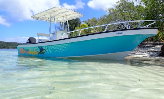 Snorkel de arrecife con 3 paradas en barco en la bahía de Jonesville, Honduras