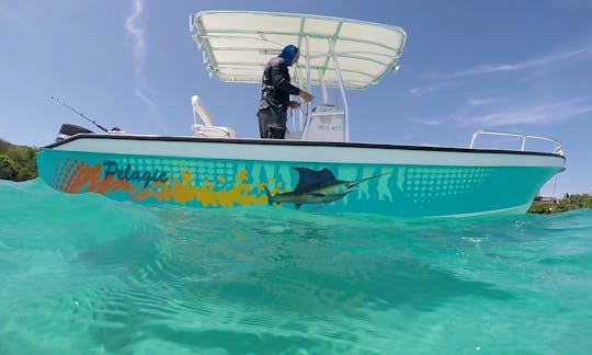 Snorkel de arrecife con 3 paradas en barco en la bahía de Jonesville, Honduras