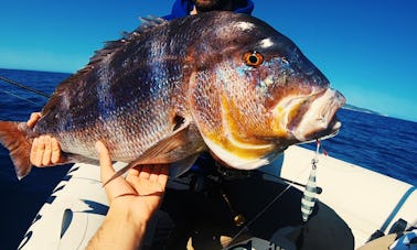 Excursion de pêche d'une journée à Vis et à l'île de Bisevo au départ de SPLIT