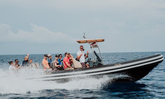 Lolivul 9.0 Barco en alquiler en Split, Croacia