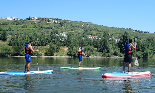 SUP Rental in Peso da Regua, Portugal